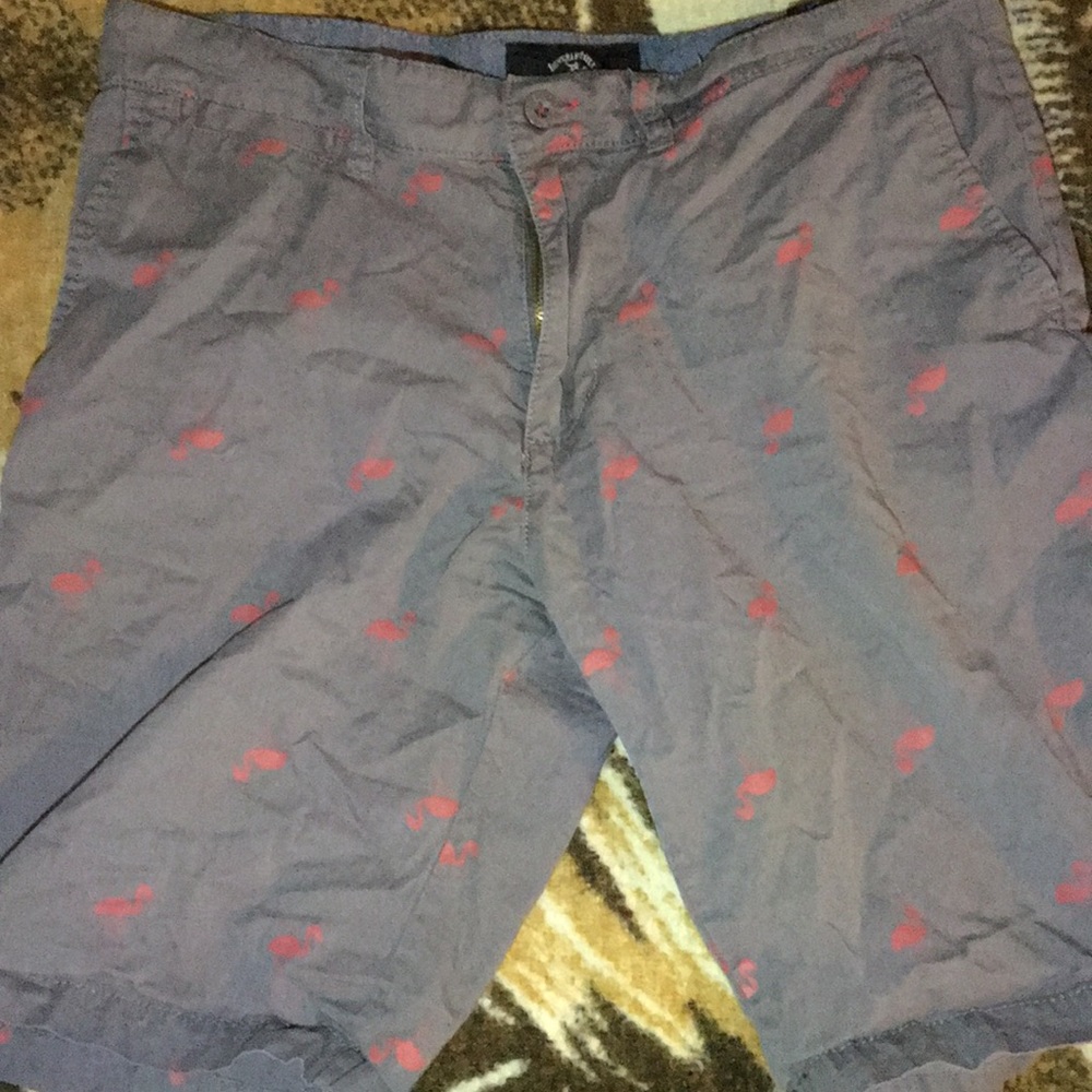 Polo flamingo shorts